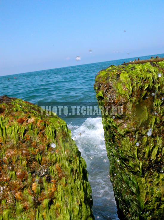 черное море / Природа / моря и океаны