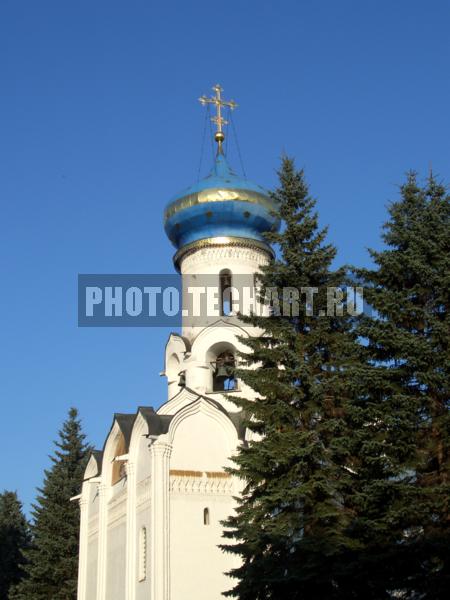 купола церкви в сергиевом посаде / Город, архитектура / архитектура и скульптура