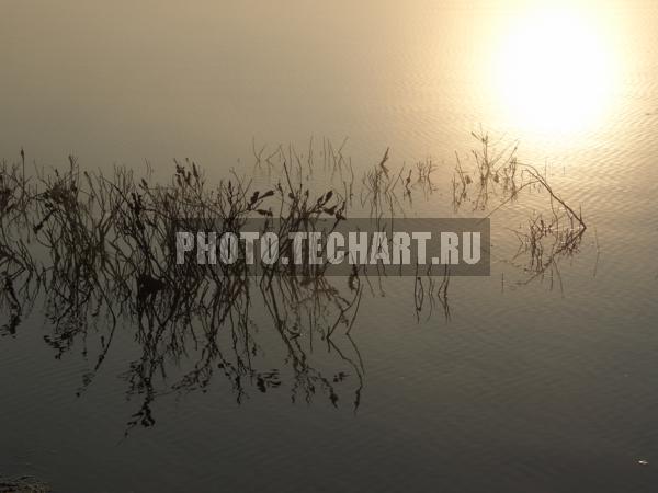 восход / Природа / закаты и рассветы