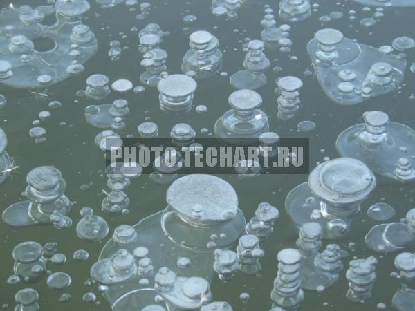 лед на воде / Фоны и фактуры / природные