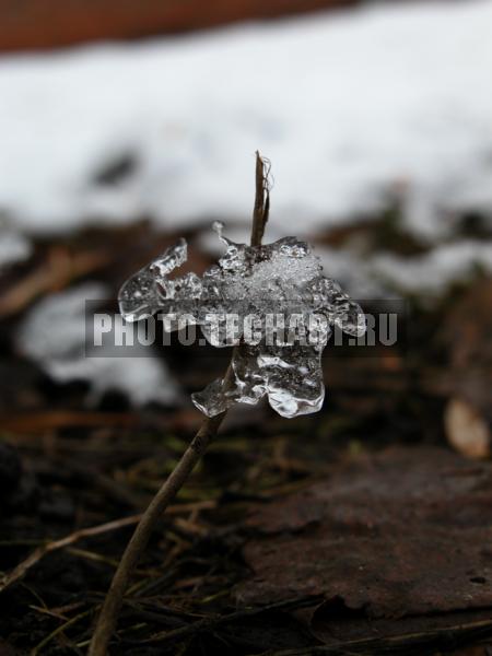 льдинка / Природа / весенний пейзаж