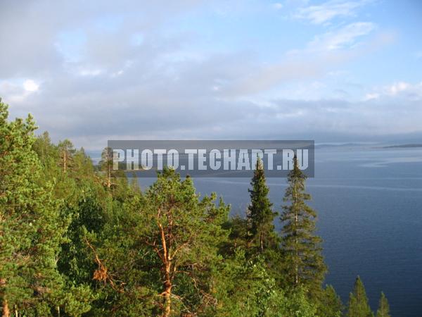 белое море / Природа / моря и океаны