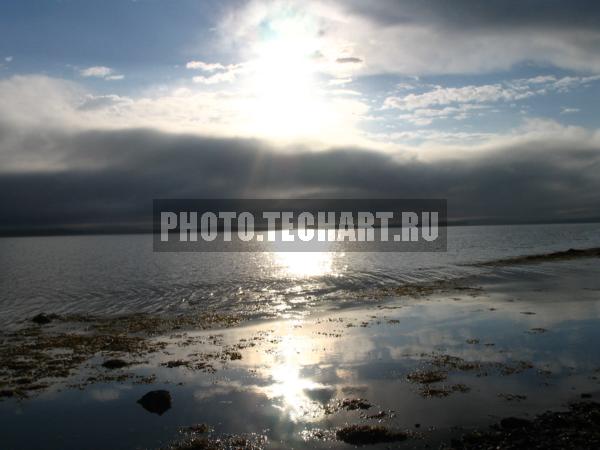 белое море / Природа / моря и океаны