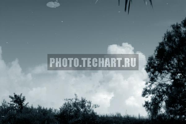 отражение в реке / Природа / реки и озера