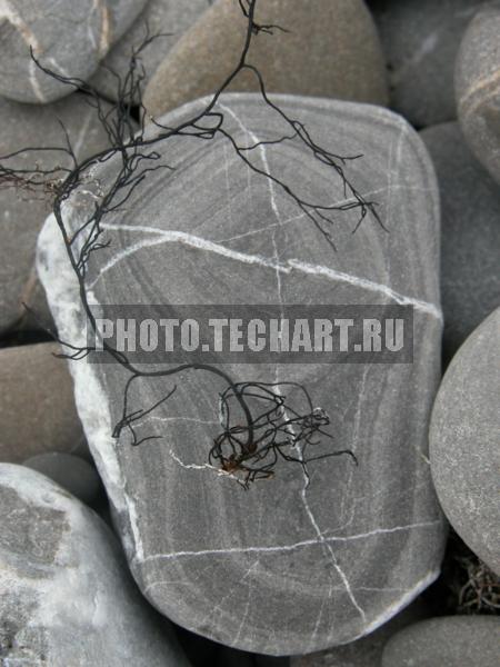 камень / Фоны и фактуры / природные