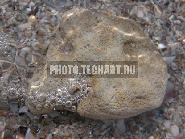 пузырьки / Природа / прочее