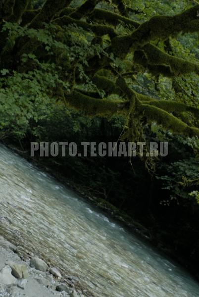 горная река / Природа / реки и озера