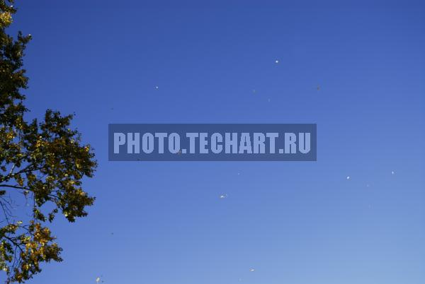 осеннее небо / Природа / небо и облака