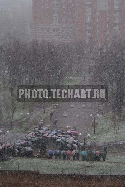 снег и зонтики / Город, архитектура / городской пейзаж