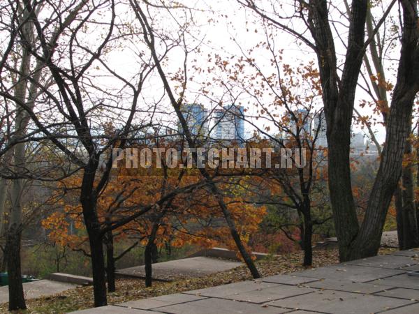 Вид на Волгоград с Мамаева кургана / Город, архитектура / городской пейзаж