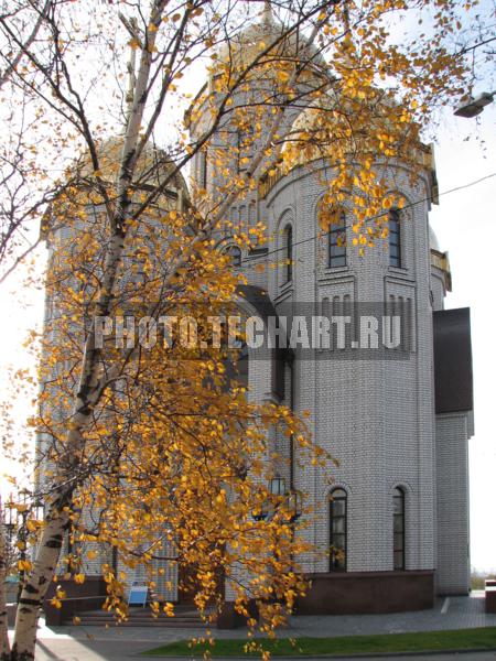 церковь и березка / Город, архитектура / архитектура и скульптура