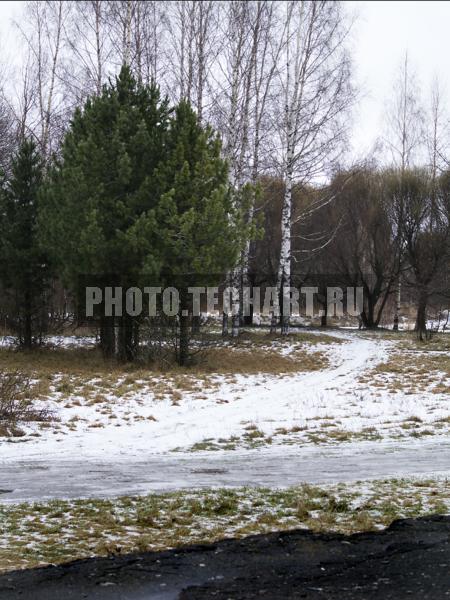 тропинка в лес / Природа / зимний пейзаж