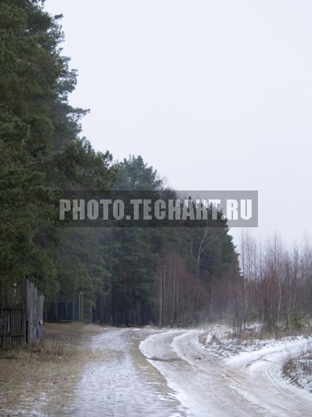 заснеженная тропинка / Природа / зимний пейзаж