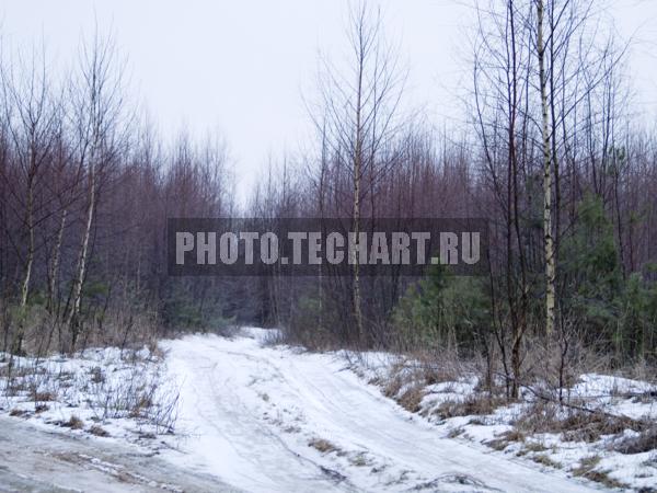 тропинка в лес / Природа / зимний пейзаж