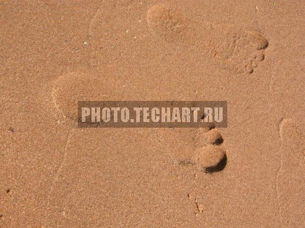 следы на песке / Фоны и фактуры / природные