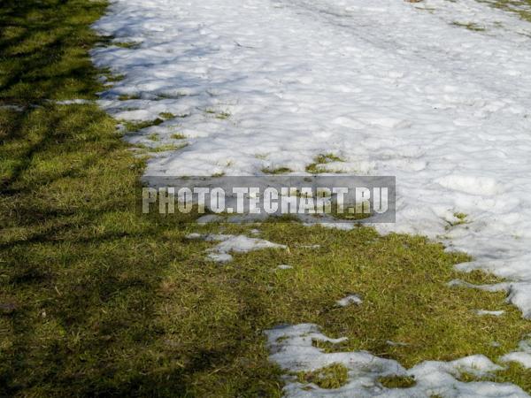 последний снег / Природа / весенний пейзаж