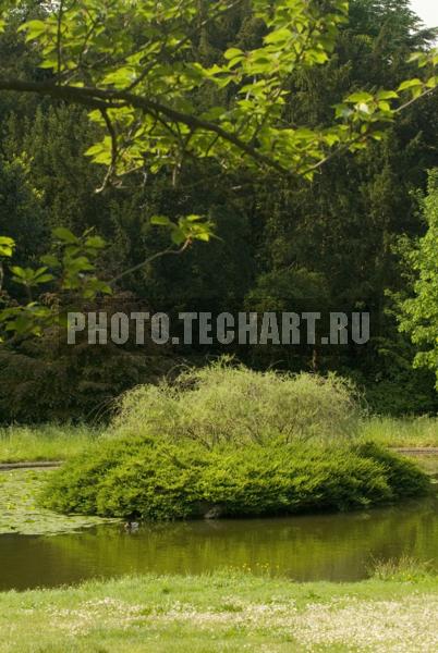 пруд в парке / Город, архитектура / сады и парки