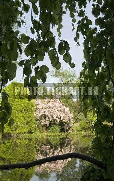 пруд в парке / Город, архитектура / сады и парки