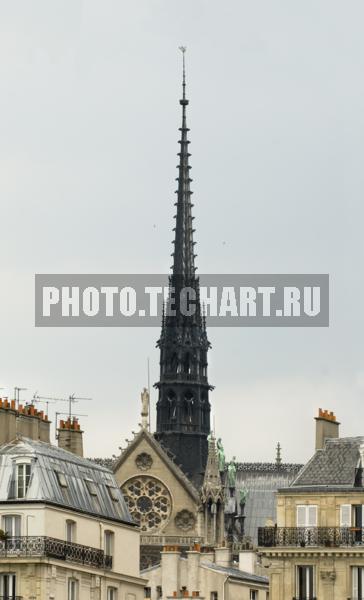 Франция. Париж. Шпиль собора / Город, архитектура / архитектура и скульптура