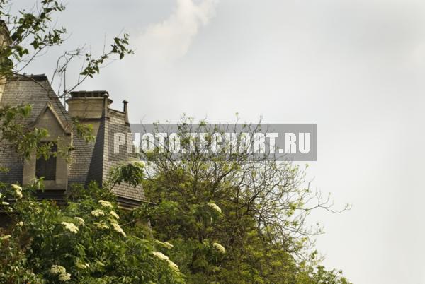 Собор Парижской Богоматери. / Город, архитектура / фрагменты и детали