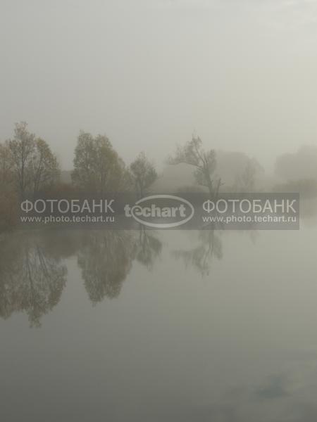 туман на реке / Природа / природные явления