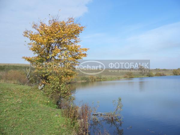 берег реки / Природа / реки и озера