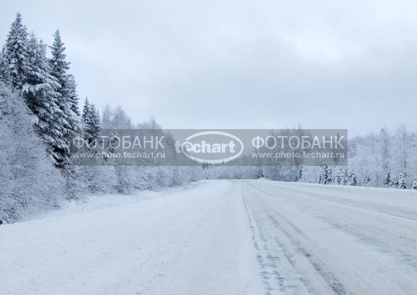 дорога / Природа / леса и поля