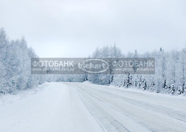 дорога / Природа / леса и поля