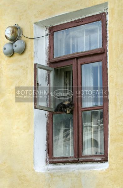 кошка в форточке / Город, архитектура / фрагменты и детали