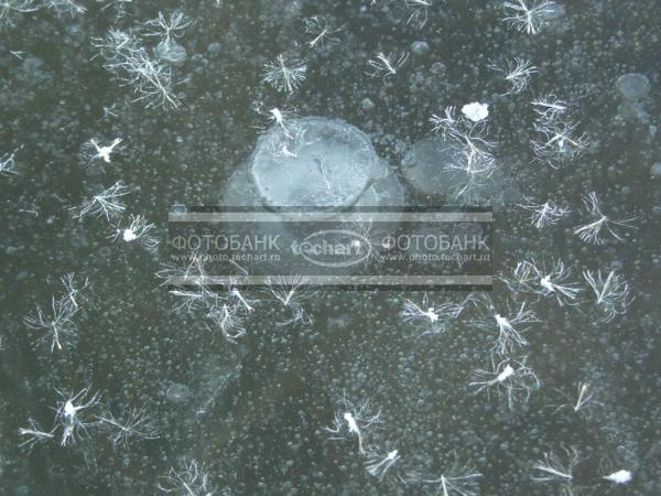 Лед. замерзшие пузырьки на  реке / Фоны и фактуры / природные