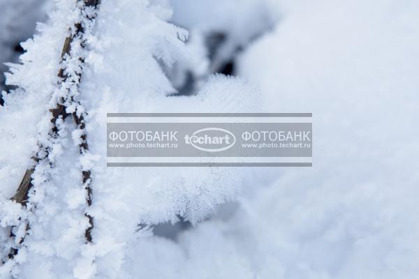 Сугроб. Кристаллы снега / Фоны и фактуры / природные
