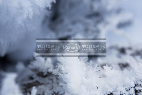 Сугроб. Кристаллы снега на ветках / Фоны и фактуры / природные