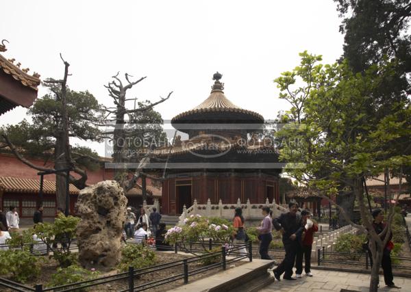 Китай. Пекин. Запретный город. Императорский дворец. China. Beijing. Emperor's Palace. / Город, архитектура / сады и парки