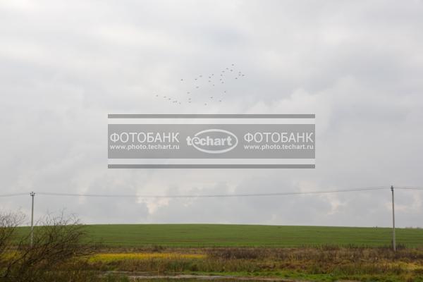 поле / Природа / осенний пейзаж