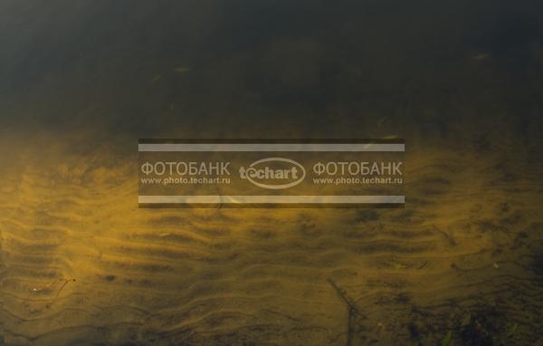 Речное дно. Песок / Фоны и фактуры / природные
