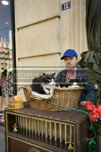 Франция. Шарманщик с кошкой / Люди / профессии и деятельность