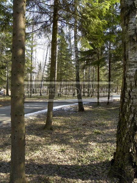 Дорога в коттеджный поселок в подмосковье / Город, архитектура / городской пейзаж