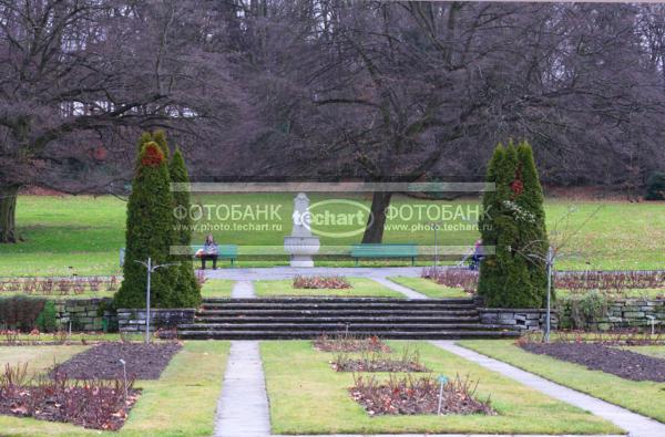 Европа. Швейцария. Женева. Розарий в парке. Parc La Grange / Город, архитектура / сады и парки