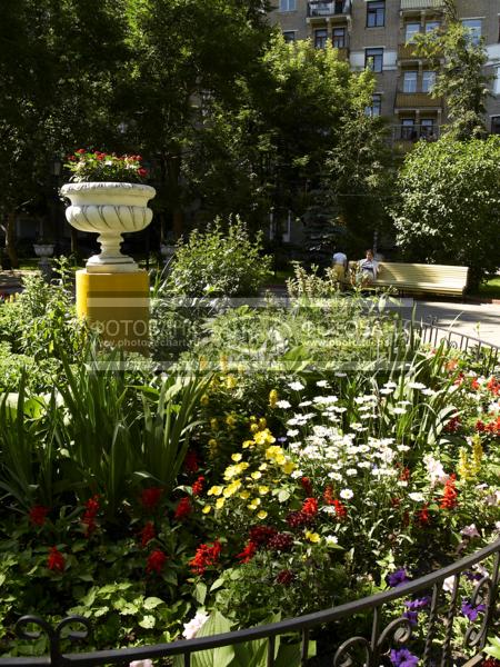 Цветы во дворе. Московский двор / Город, архитектура / городской пейзаж