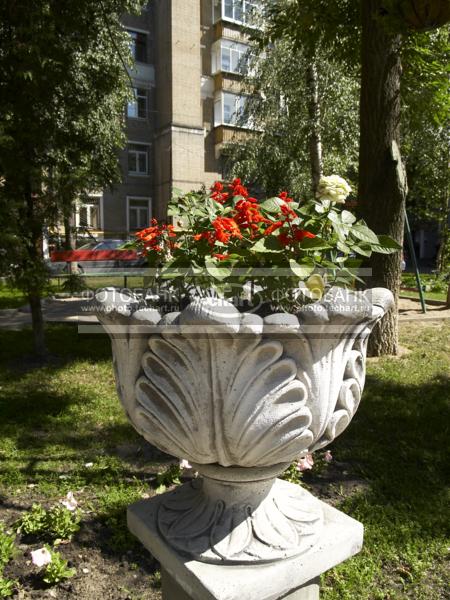 Цветы во дворе. Московский двор / Город, архитектура / городской пейзаж