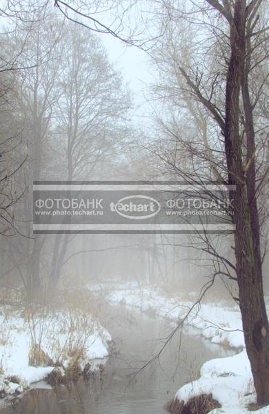 Весна. Ручей / Природа / весенний пейзаж