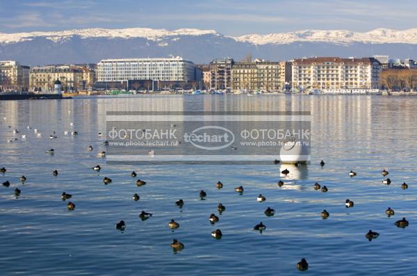 Европа. Швейцария. Женевское озеро. / Природа / реки и озера