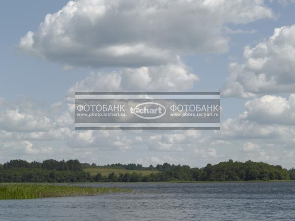 Русская природа. Речка / Природа / реки и озера