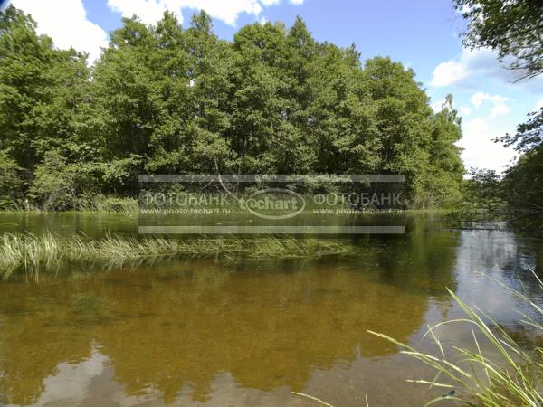 Русская природа. Река / Природа / реки и озера