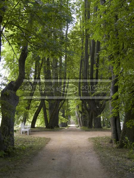 Русская природа. Парк / Город, архитектура / сады и парки