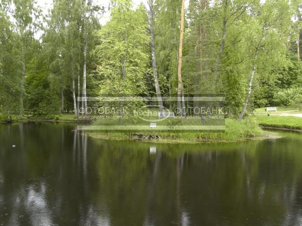 Русская природа. Озеро в лесу / Природа / реки и озера