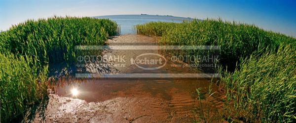Природа России. Берег реки / Природа / реки и озера