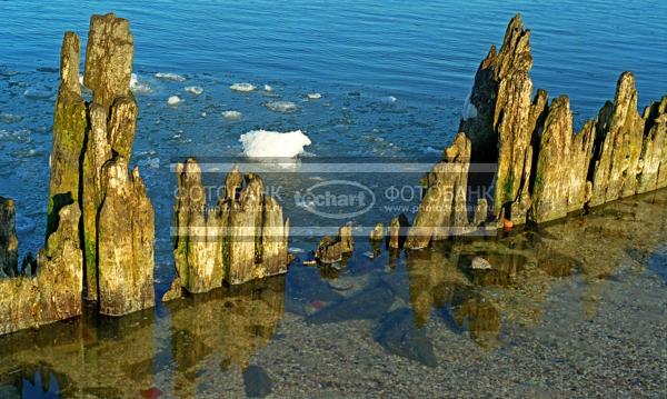 Камни в воде / Природа / весенний пейзаж