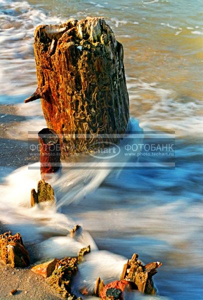 Ручей. Коряга в воде / Природа / реки и озера