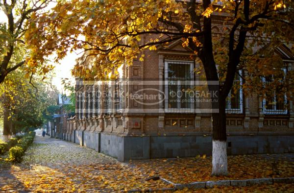 Осенняя улица / Город, архитектура / городской пейзаж